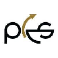 pes - premier energy strategies logo image