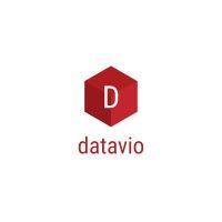 datavio.ai logo image