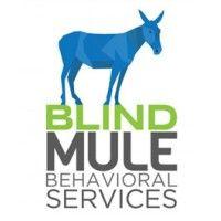 blind mule behavioral services logo image