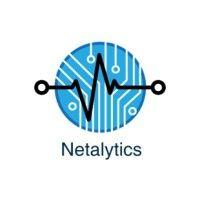 netalytics security logo image