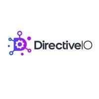 directiveio logo image