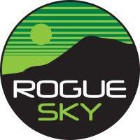 rogue sky logo image