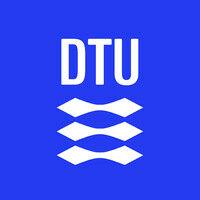 dtu wind and energy systems logo image