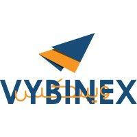 vybinex marketing services logo image