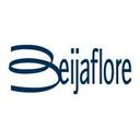 logo of Beijaflore