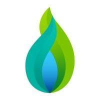 national gas metering logo image