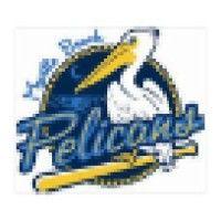 myrtle beach pelicans logo image