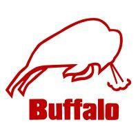 tangshan tiankun buffalo tools co., ltd. logo image