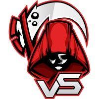 vicious syndicate gaming logo image