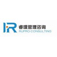 rupro consulting 睿璞管理咨询 logo image