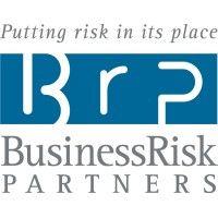 business risk partners logo image