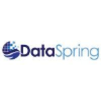 dataspring, inc. logo image