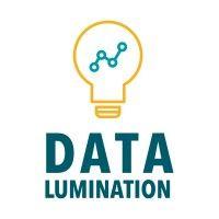 data lumination logo image