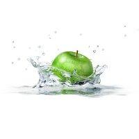 granny smith & co logo image