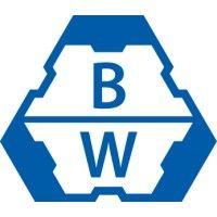 buckau-wolf gmbh logo image