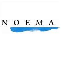 noema s.r.l. unipersonale logo image