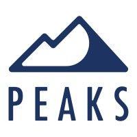 peaks digital marketing