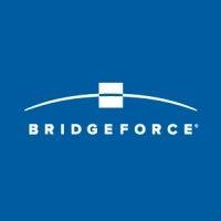 bridgeforce logo image