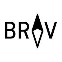 brav logo image