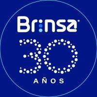 brinsa s.a. logo image