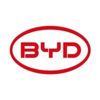 byd brasil logo image