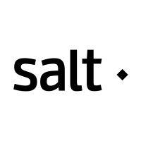 salt thinking logo image