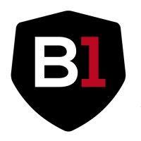 b1 soccer academy logo image