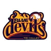 tri-valley minor hockey association logo image