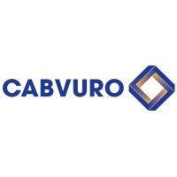 cabvuro bv logo image