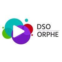 disability screen office (dso) logo image