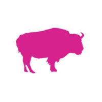 pink buffalo films