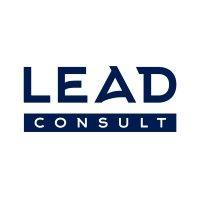 lead consult logo image