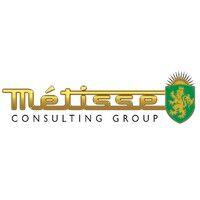 metisse consulting group logo image