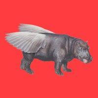 flying hippo brand + digital logo image