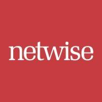 netwise logo image