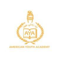 american youth academy logo image