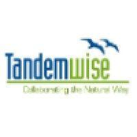 tandemwise logo image