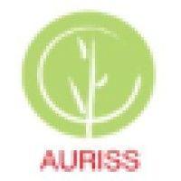 auriss technologies