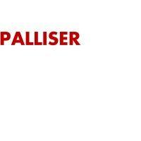 palliser group ltd. logo image