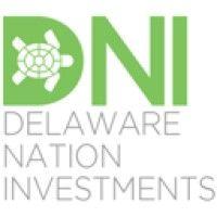 delaware nation investments logo image