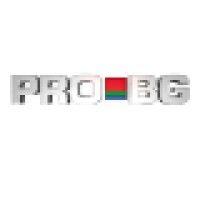 pro bg media logo image