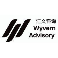 wyvern advisory logo image