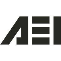 affiliated engineers, inc. logo image