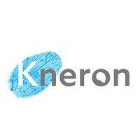 kneron logo image