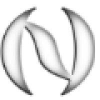 nullient software logo image