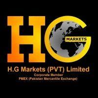 h.g markets - harvest group logo image