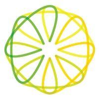 lemon and lime digital logo image