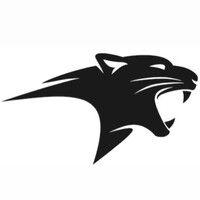 panther logo image