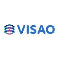 visao logo image