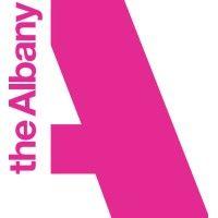 the albany logo image